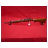 Ruger 10/22 22LR Rifle