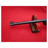 Ruger 10/22 22LR Rifle