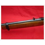 Ruger 10/22 22LR Rifle
