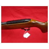 Ruger 10/22 22LR Rifle