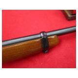 Ruger 10/22 22LR Rifle