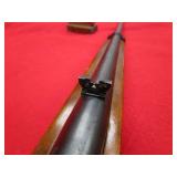 Ruger 10/22 22LR Rifle