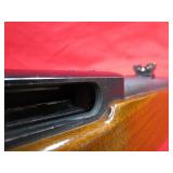 Ruger 10/22 22LR Rifle