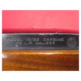 Ruger 10/22 22LR Rifle