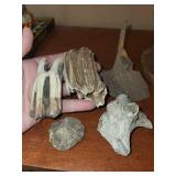 Fossil & Geology Specimens - Assorted Fragments on Vintage Wooden Spool Stand Fossil & Geology Specimens - Assorted Fragments on Vintage Wooden Spool Stand