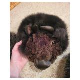 Faux-Fur buffalo hat and bean plush- Medium (Made in USA) & 3 Vintage Books Faux-Fur buffalo hat and bean plush- Medium (Made in USA) & 3 Vintage Books