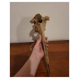 Fossilized Bone Fragment - Weathered Long Bone with Irregular End Fossilized Bone Fragment - Weathered Long Bone with Irregular End