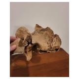 Fossilized Bone Fragment - Weathered Long Bone with Irregular End Fossilized Bone Fragment - Weathered Long Bone with Irregular End