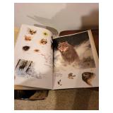 Noah's Ark - Abrams Art Book of Animals Noah's Ark - Abrams Art Book of Animals