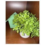 White Ceramic Vase with Leaf Motif & Jade Plant in White Pot & Green Birdhouse White Ceramic Vase with Leaf Motif & Jade Plant in White Pot & Green Birdhouse