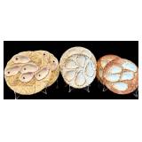 C3 - Vintage Oyster Plates (Lot of 6)