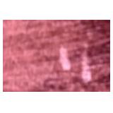 LR - Vintage Red Upholstered Swivel Club Chair