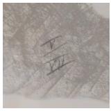 MB - Janet Fish Wise Guy Lithograph