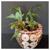 MB - Christmas Cactus Plant in Decorative Ceramic Pot