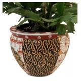 k - Christmas Cactus Plant in Asian-Style Ceramic Planter