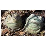 FY - Fun Garden Friends