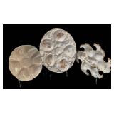 LR - Three Oyster Plates by Martin Limoges of France, Weimar and More