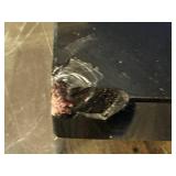 DR - Daum Crystal Snail Sculpture on Black Base - Base Chip