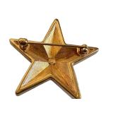 Swarovski Star Crystal Brooch - 1.5 Inch Pavé Crystal Star Pin