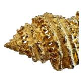 Dotty Smith Vintage Shell-Shaped Belt Buckle - Gold Tone