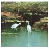 BR1 - Original Oil on Canvas Landscape - Bamboo Forest with White Herons