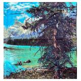 BR1 - Vintage Scenic Landscape Tapestry - Mountain Lake View Wall Decor