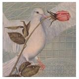 UL - Dove of Love Print by Judy Beaver Hatton