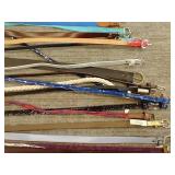 (35) Skinny Belts