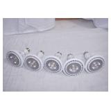 (5ct) LumaPro LED PAR30L