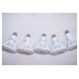 (5ct) LumaPro LED PAR30L