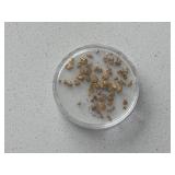 2 Grams Gold Nuggets