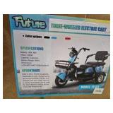 2026 Unused FUTURE Electric tricycle FT-D3