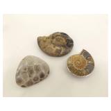 Lot of Semi Precious etc. Stone Pendants, Fossils, etc.