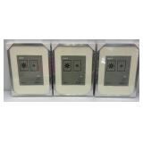 IKEA Brand 12 3/4" x 16 3/4" Brushed Silver Picture Frames (Factory Sealed)