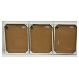 Misc. Sizes LA Collection Arrowhead Series 8" x 10" =1 & 11" x 14" = 1 Bronze, Trend Series 8" x 10" =2  Black Picture Frames & Ikea White 12 3/4" x 16 3/4" (Factory Sealed)