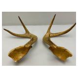 Six Point Buck Deer Antlers And Small Rodent Skull