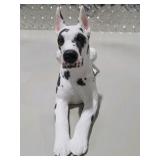 Great Dane Figurine Lot -  Harlequin Great Dane Living Stone 1987 Adult Figure + Mini Blue Witch Dog Figure