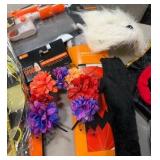 Halloween costume accessories