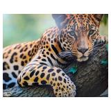 VIEWSONIC VX2250 LED 22-INCH WIDESCREEN 1080P MONITOR WITH STEREO SPEAKERS