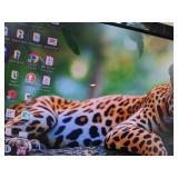 TOSHIBA 19-INCH LED-LCD TV WITH DUAL HDMI INPUTS AND REMOTE CONTROL