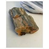 Petrified Wood & Chalcedony Stones (Lot of 3)