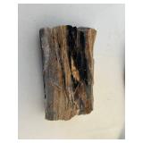 Petrified Wood & Chalcedony Stones (Lot of 3)