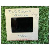 Early Sugar Beet Farming Slides in Barnett Jaffe Case