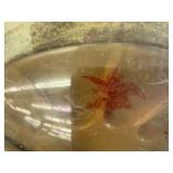 Budweiser Hanging Clock