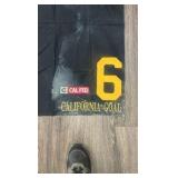 California goal #6 cal fed horse blanket