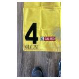 shalini #4 cal fed horse blanket