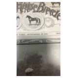 1902 the American horse breeder Dan patch magazine