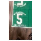 winstar distaff dianehill #5 horse blanket