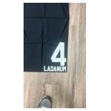 ladanum #4 horse blanket