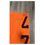 hadl #7 horse blanket